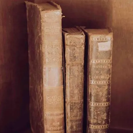 Daire La Salle Des Sortileges